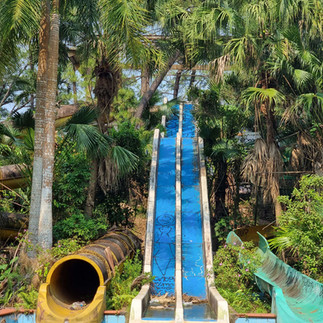An outdoor abandoned water slide with a blue sliding surface is positioned between lush green palm trees. The slide starts at a higher point and descends into a small body of water. To the left, there is a yellow circular tunnel exit, and to the right, a green slide shaped like an open-mouthed creature with its tongue as the sliding surface. The scene suggests a tropical or exotic setting for recreational activities