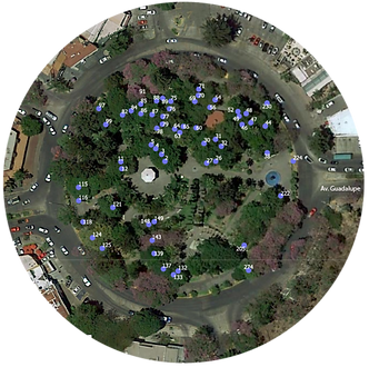 fruxinus plan_edited.png