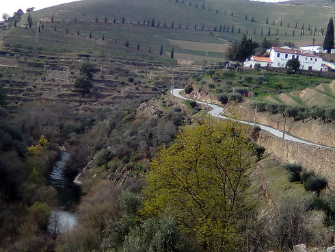 quinta.jpg