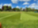 a fresh field of grass