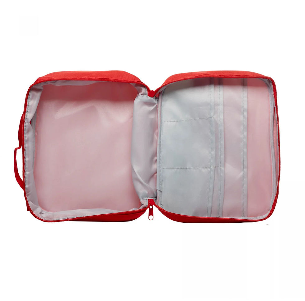 Miniatura: Necessaire de remédios