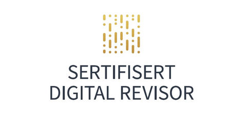 Digital revisor