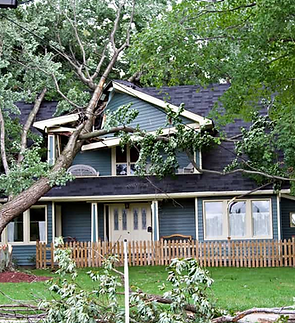 Screenshot 2025-12-24 at 12.00.15 AM.png