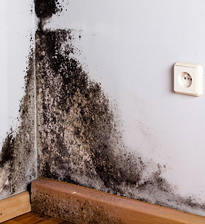 Screenshot 2025-12-23 at 11.51.07 PM.png