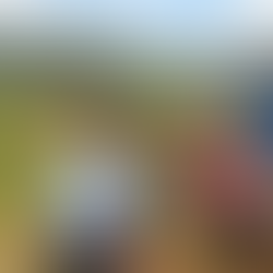 Julián Rincón "El Tigre"