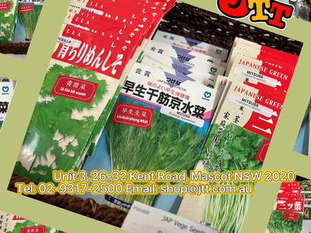 🌿 Shiso Seeds Back in Stock! 🌿