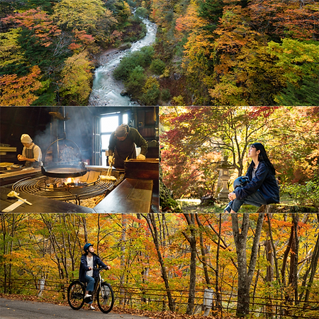 2 Autumn Original.png