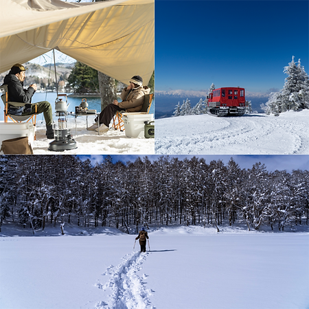 Blank 3 Grids Collage Original.png