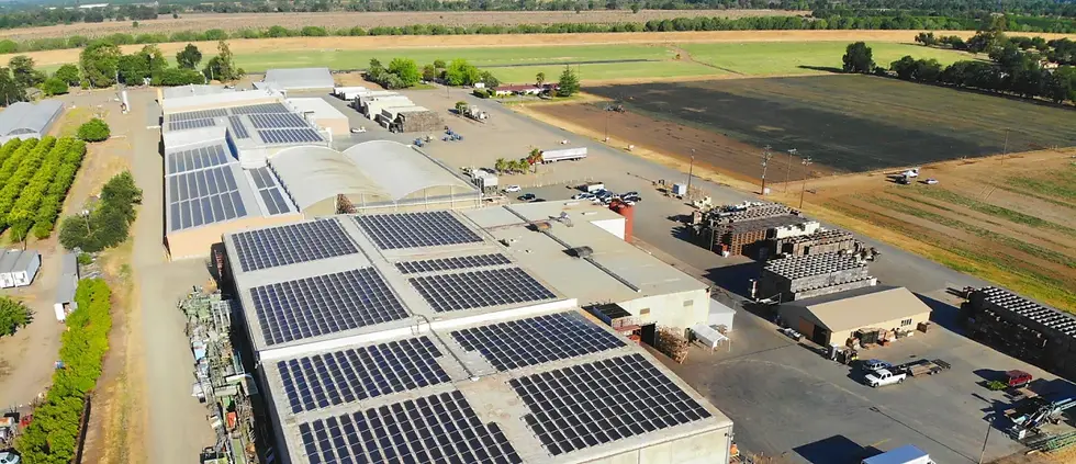 Exterior view of Feather River Cold Storage’s state-of-the-art refrigerated warehouse facility located in Northern California, specializing in cold storage solutions for perishable goods.