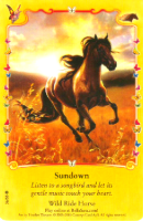 Bella Sara Sundown Card