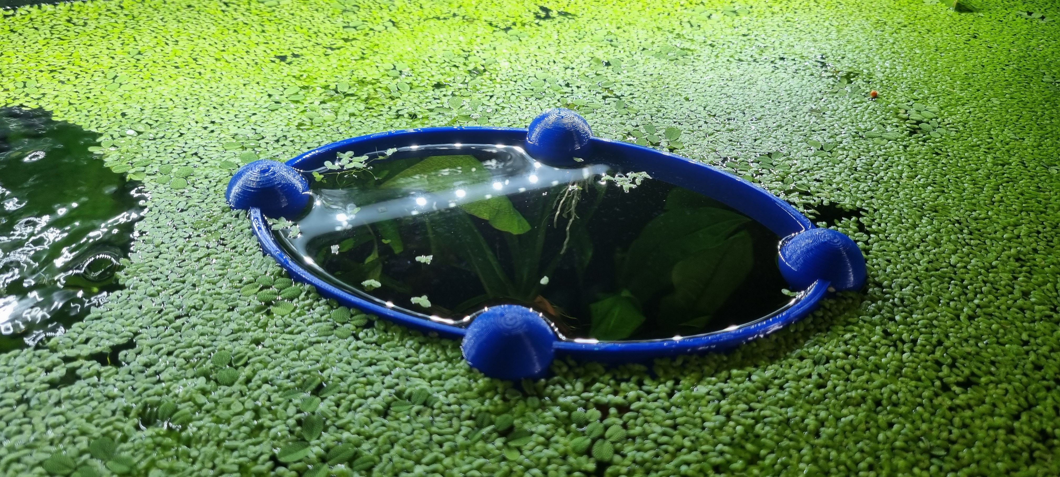 large floating feeding hole