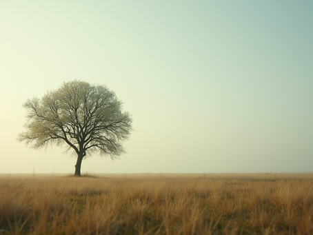 Top Resources for Fine Art Photographers Online