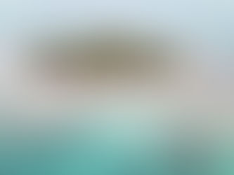 Ocean Breeze Beach Resort & ReefCI: The Perfect Belize Adventure Begins in Placencia