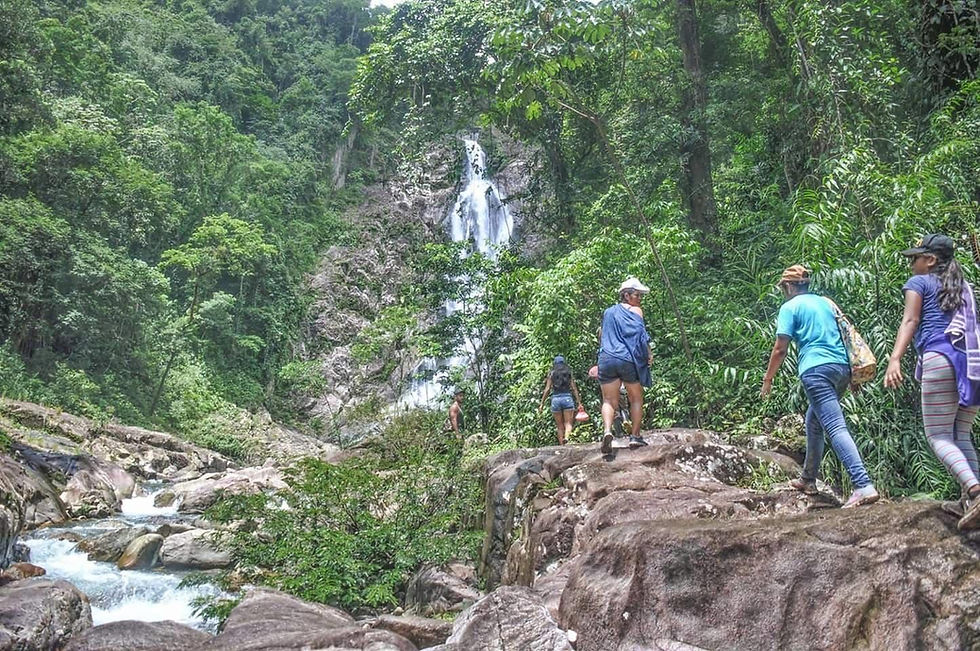 Cataratas Davis, Belice