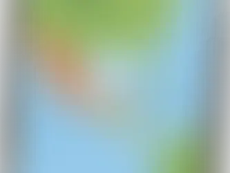 Belize located in Central America