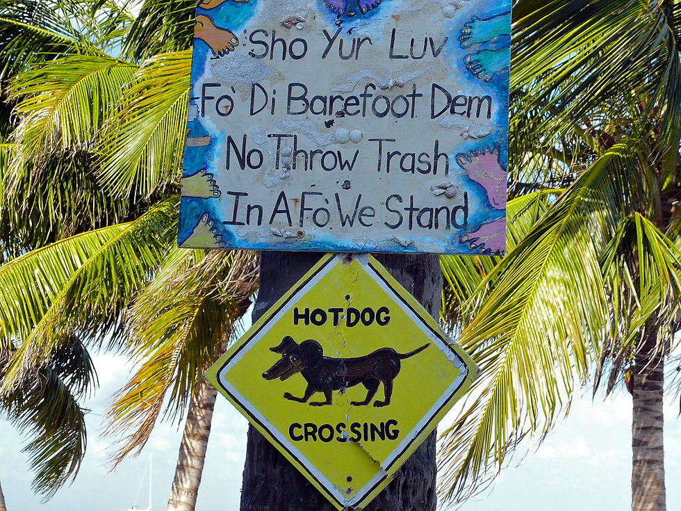 The Languages of Belize (2025 Guide)