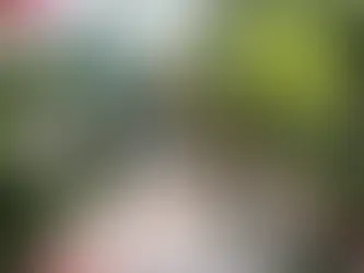 Is Placencia Belize Safe