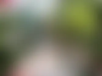 Is Placencia Belize Safe