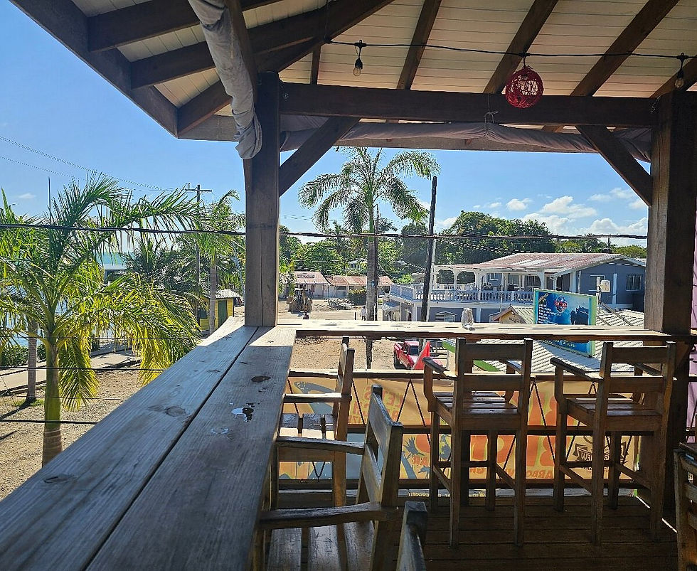 Big Beck Harbor View located near the pier in Placencia village