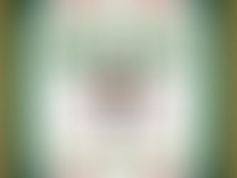 Beers of Belize: A Guide to Belikin, Two-5, Hobbs, 501 & More