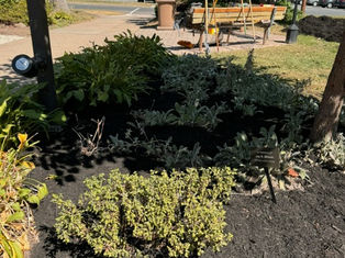 Springfield Free Public Library Benefits from Eagle Scout Project