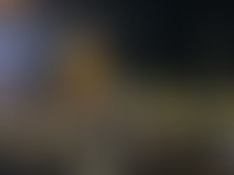 Springfield Lights Christmas Tree