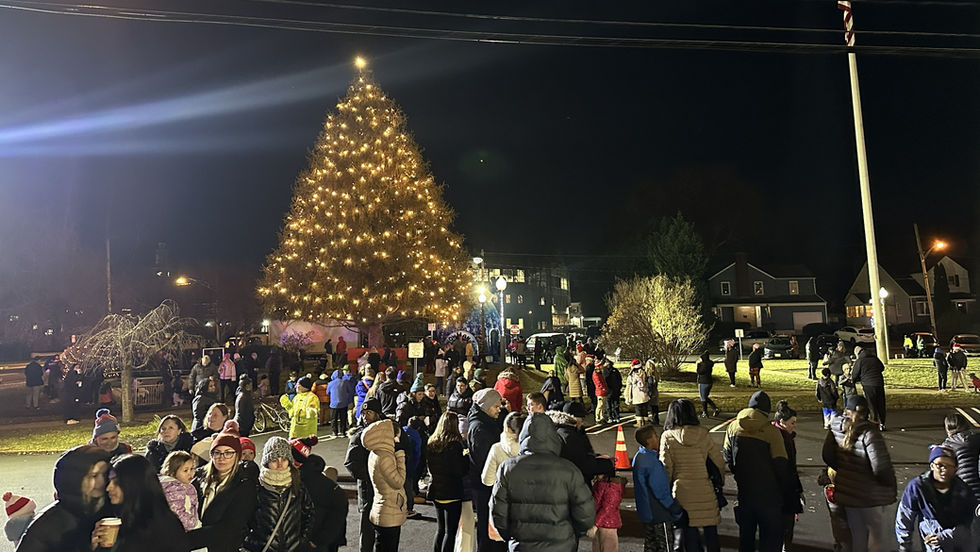 Springfield Lights Christmas Tree