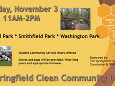 Springfield Clean Community Day on November 3