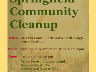 Springfield Community Cleanup on Sunday, November 2, 2025