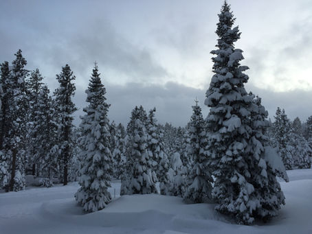 Winter Challenges