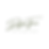LOGO-DGROEN.png