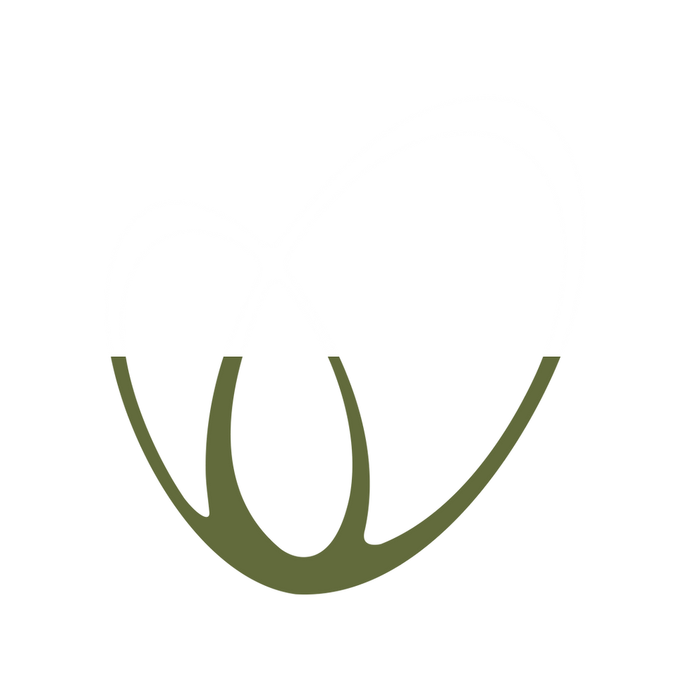BOXlogo wit-groen.png