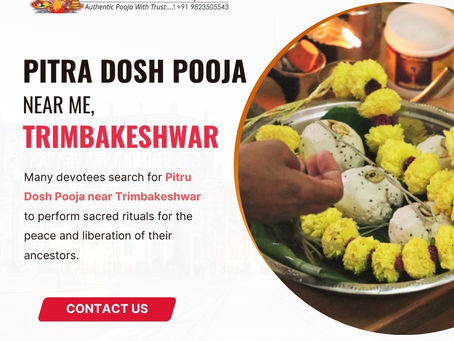 Rakesh Tripathi Trusted Pitra Dosh Pooja Services at Trimbakeshwar