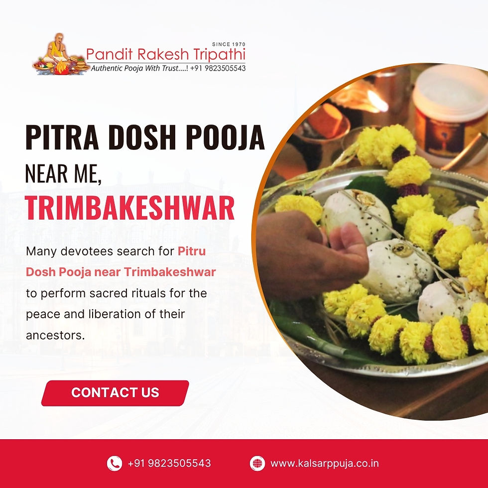 Rakesh Tripathi Trusted Pitra Dosh Pooja Services at Trimbakeshwar