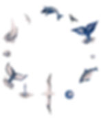 image00001.jpeg