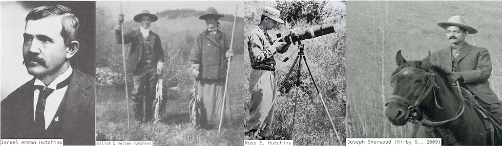 The Hutchins Family and Sherwood cryptid information about the Ringdocus