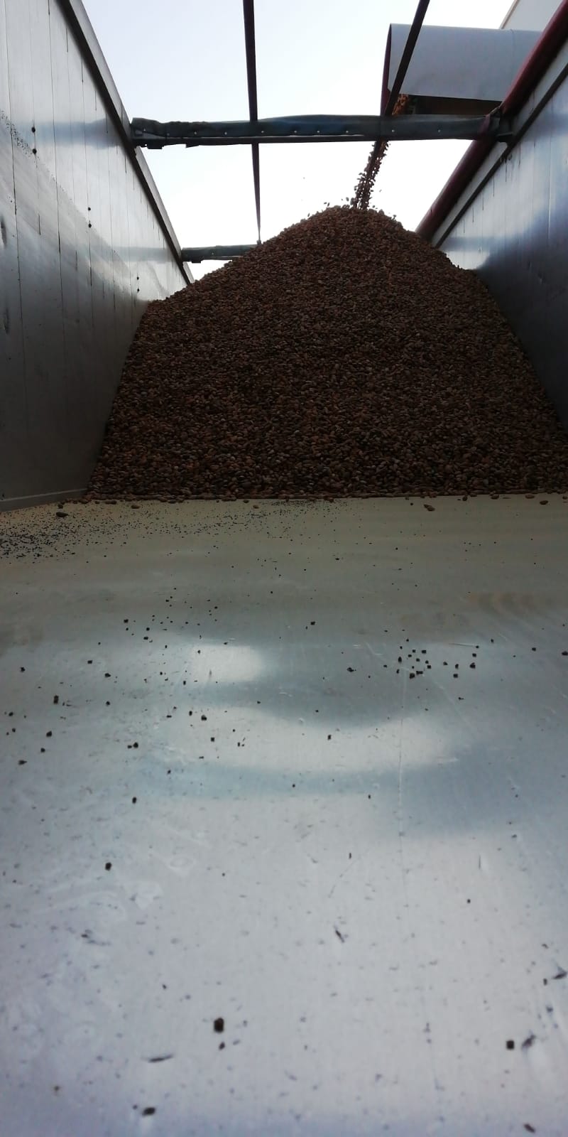 Transporte de Amêndoa em Casca