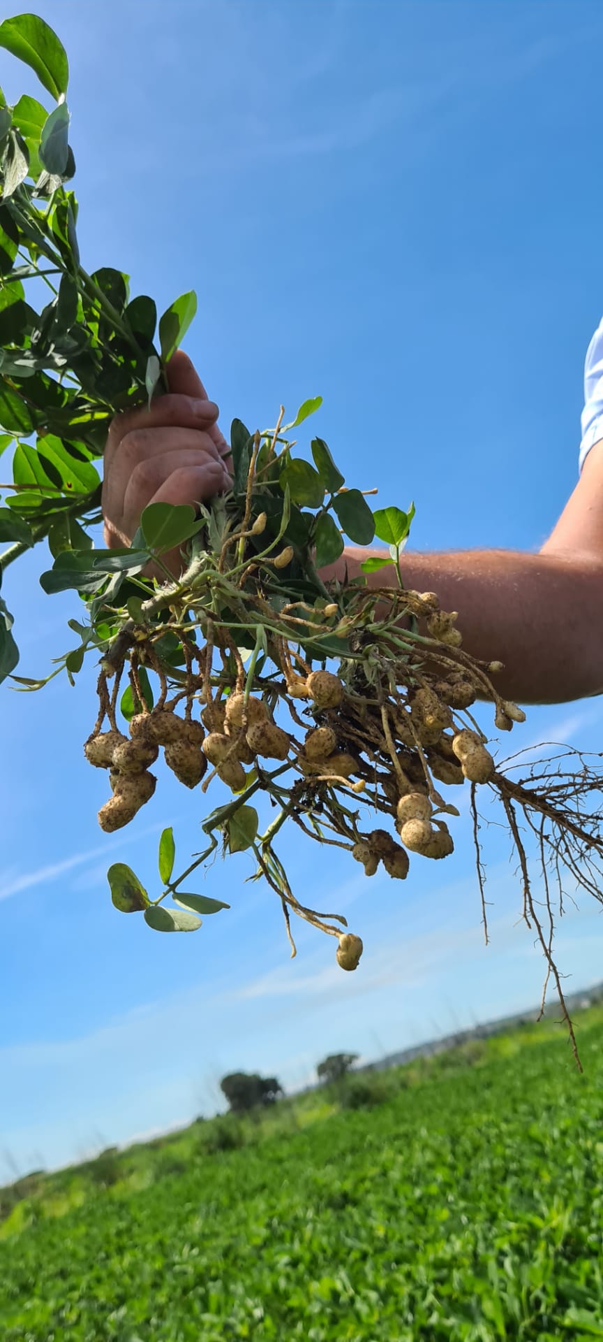 WhatsApp Image 2020-08-11 at 15.01.17