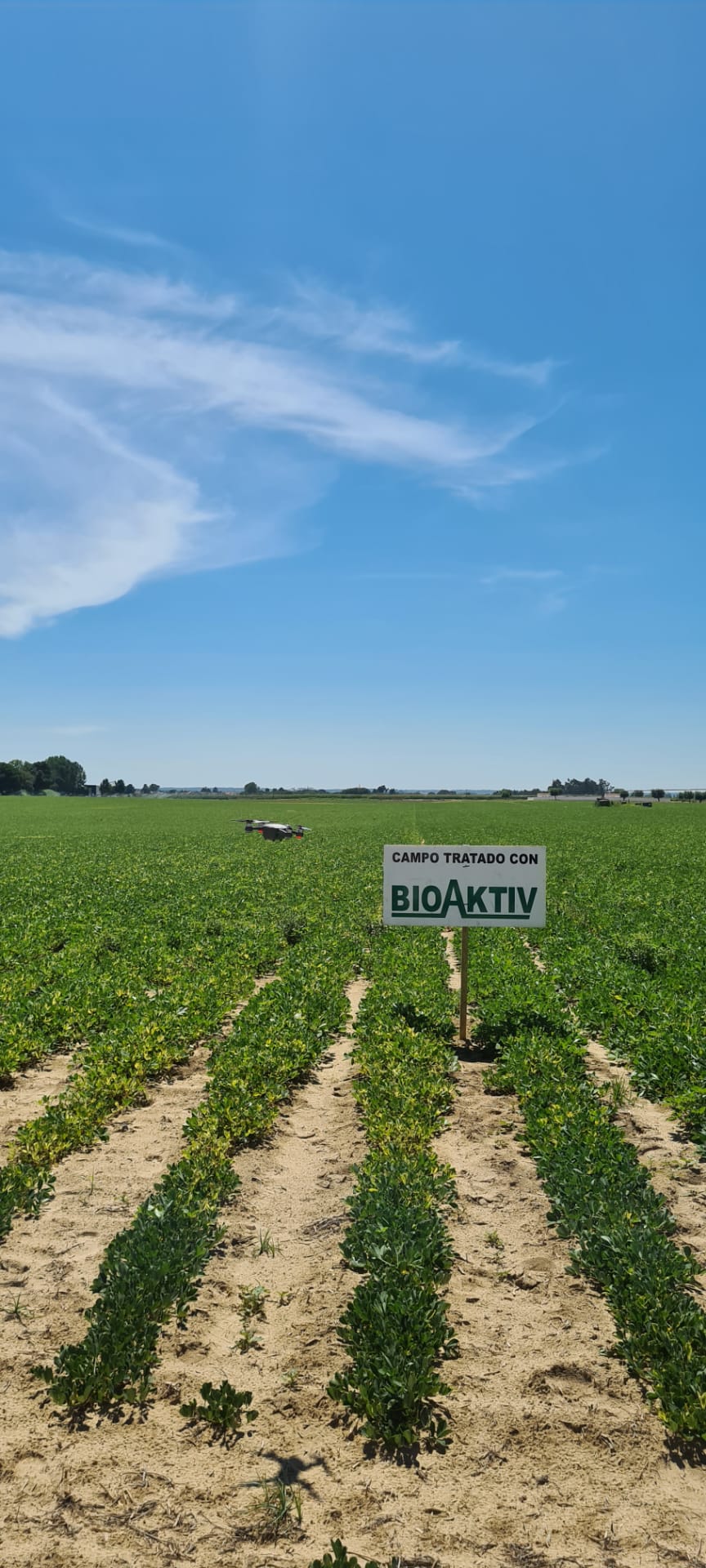 WhatsApp Image 2020-08-11 at 15.03.13