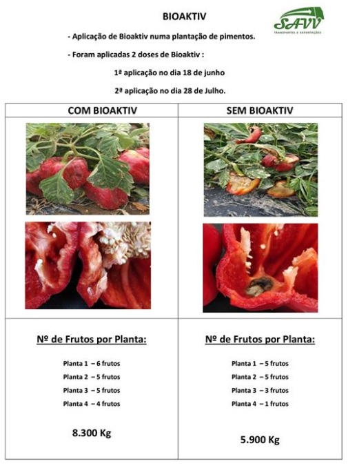 Plantação com BioAktiv