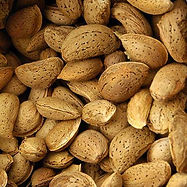 Amendoa