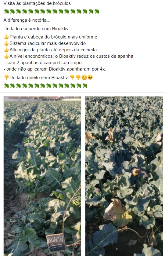 Plantação com BioAktiv