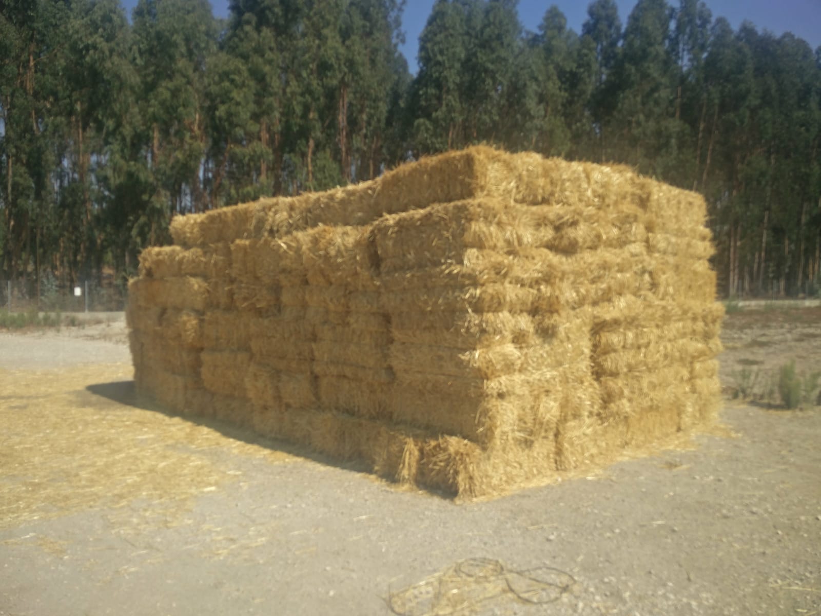 Recolha e Transporte de Palha