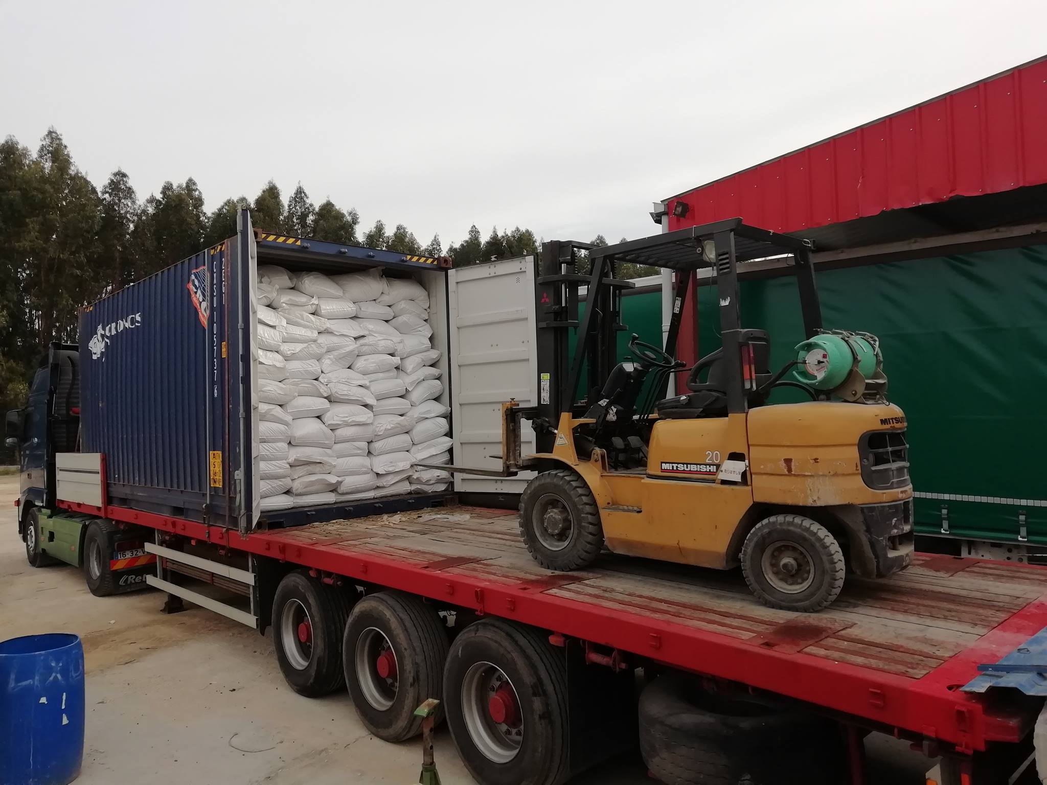 Transporte de Luzerna para CaboVerde