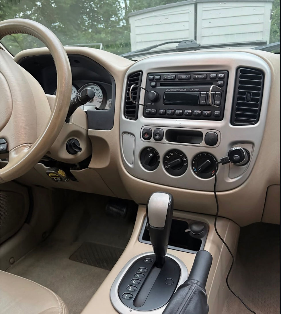 Clean leather interior after detailing
