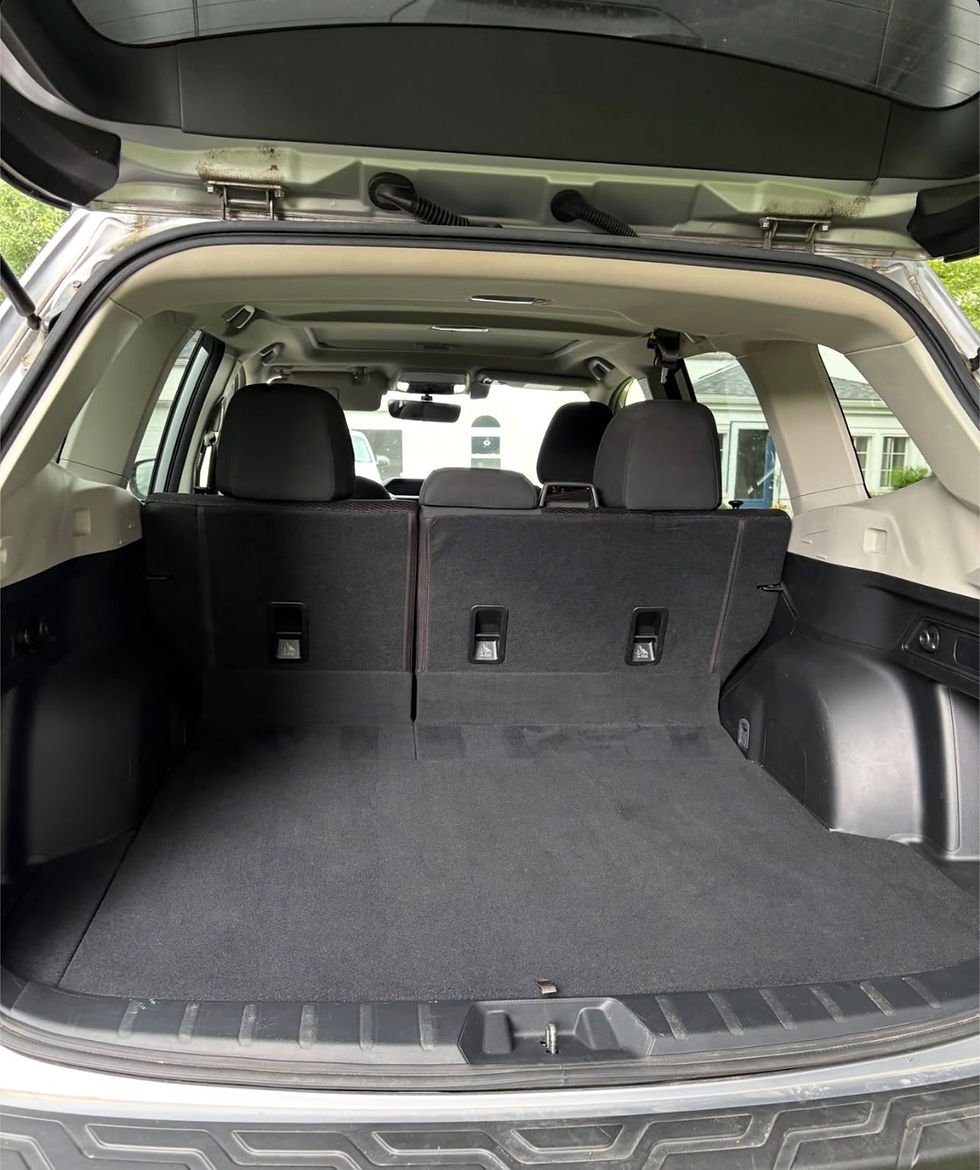 Clean cargo area after detailing