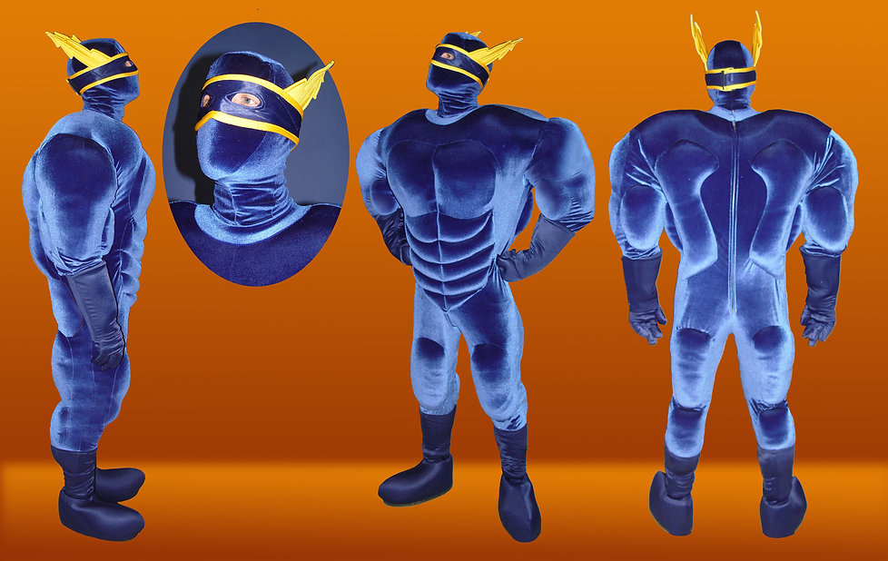 Great Superheroes Mascot Costumes Predesigned or Customized for You