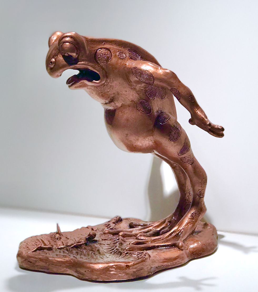 Thumbnail: Wild Life/Frog Man