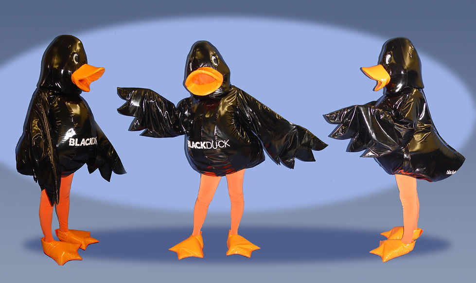 Facemakers Duck Mascot Costumes
