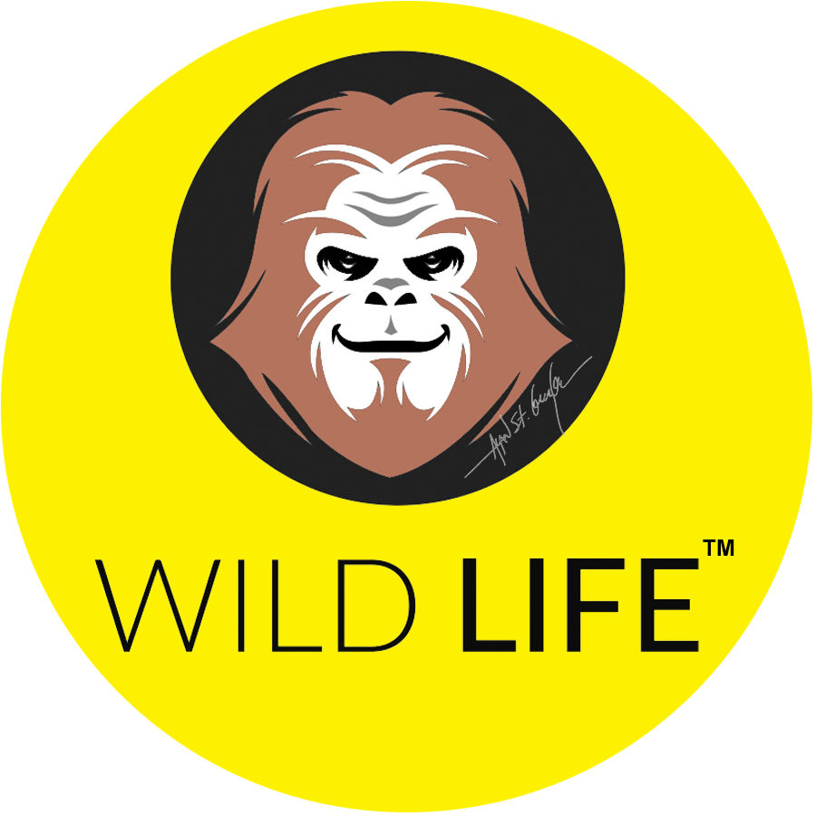 Thumbnail: Wild Life/Haircut Day
